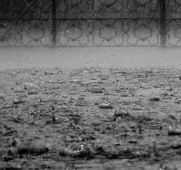 regen